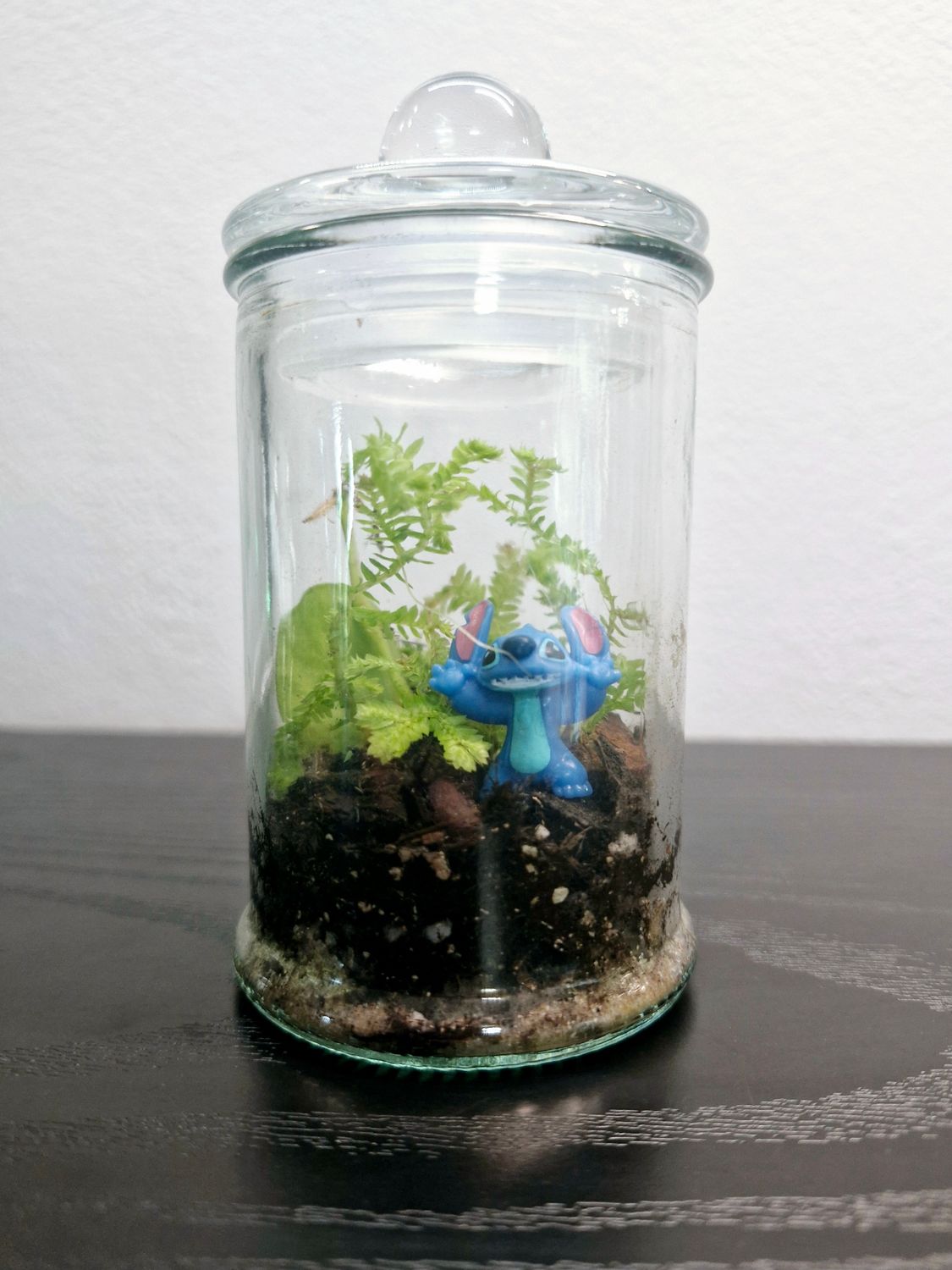 Blossom Terrarium - Mini
