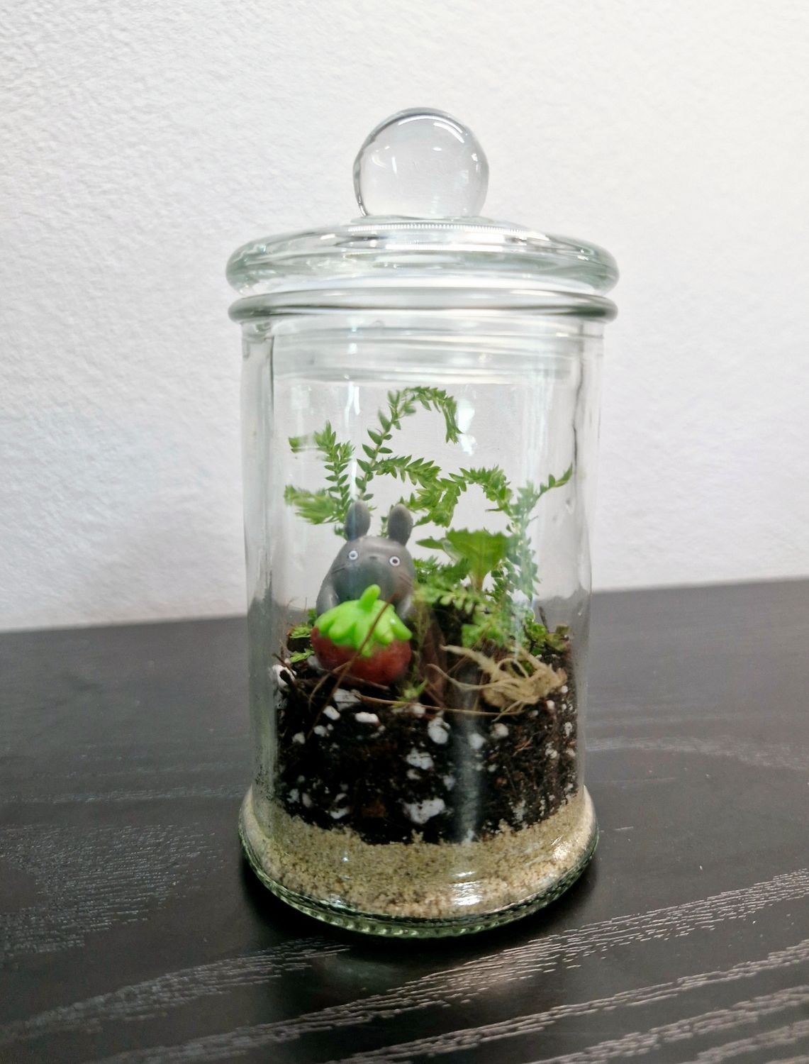 Blossom Terrarium - Mini