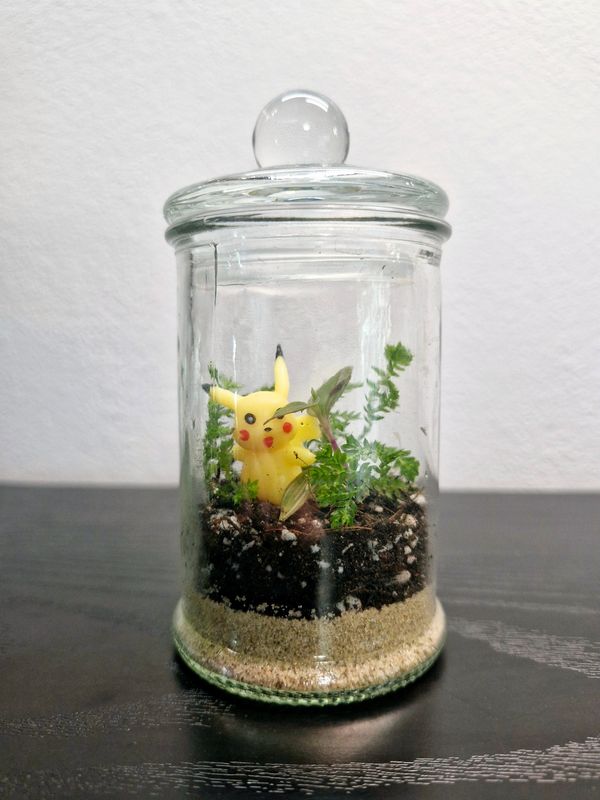 Blossom Terrarium - Mini