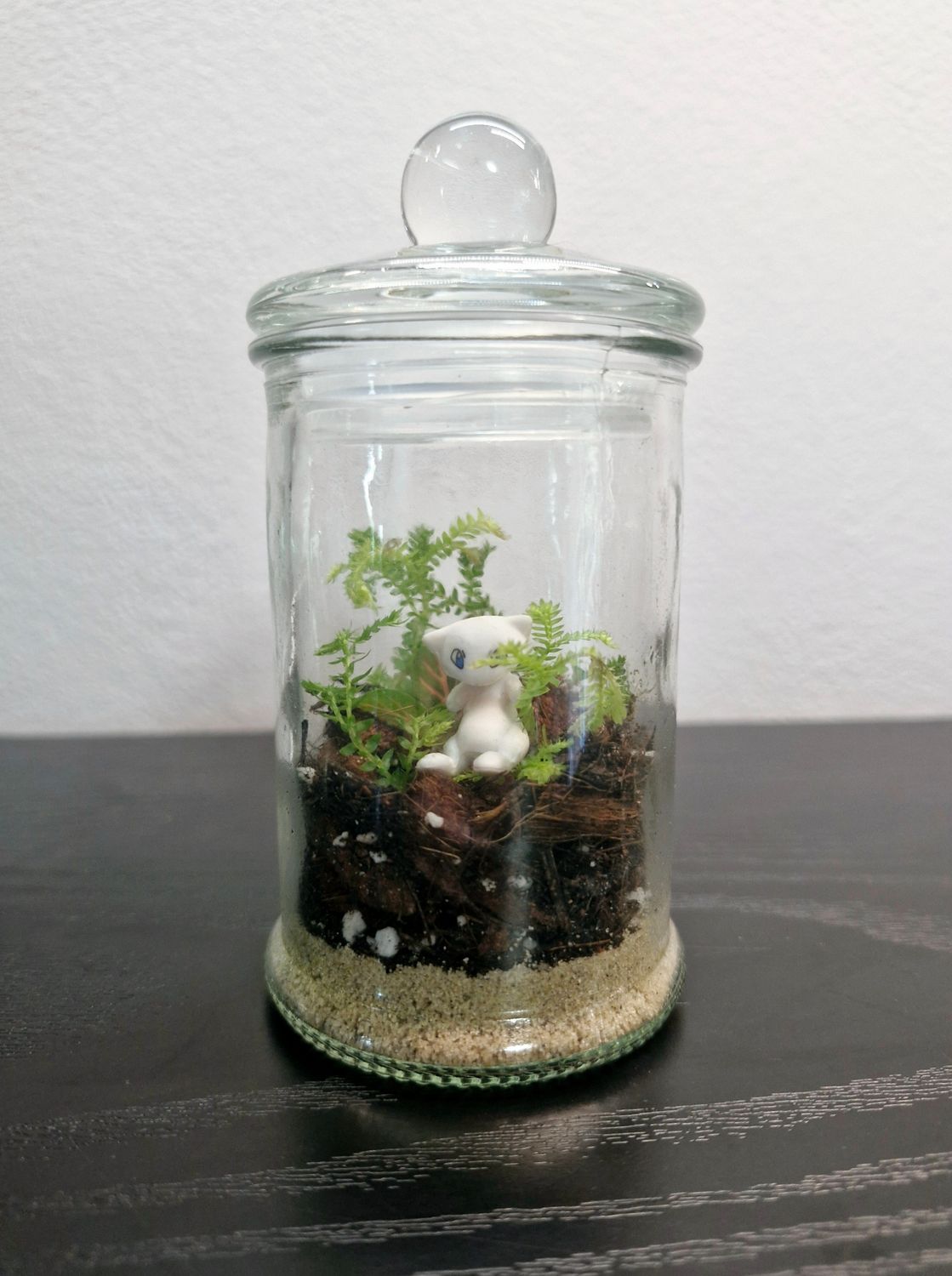 Blossom Terrarium - Mini