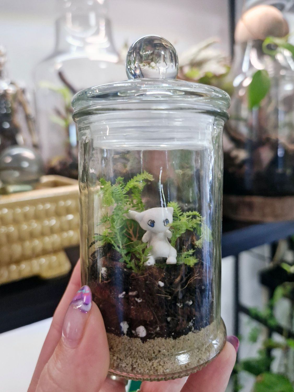 Blossom Terrarium - Mini