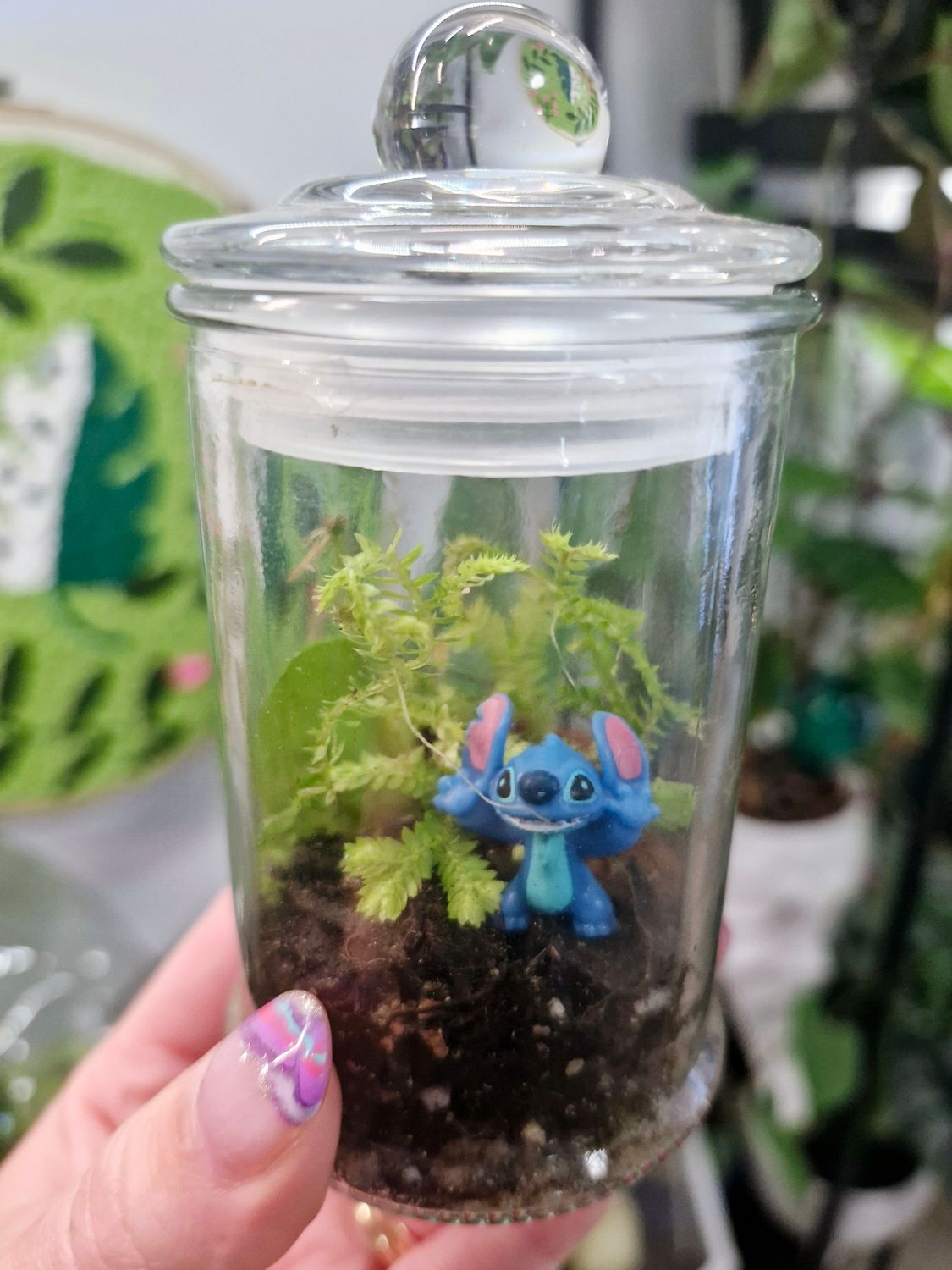 Blossom Terrarium - Mini