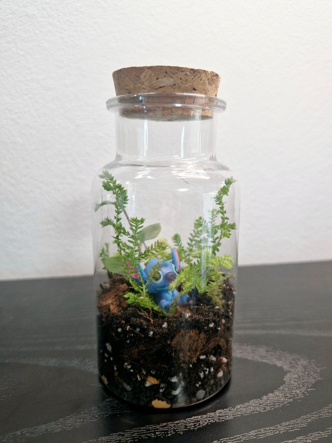 Tropical Terrarium - Mini