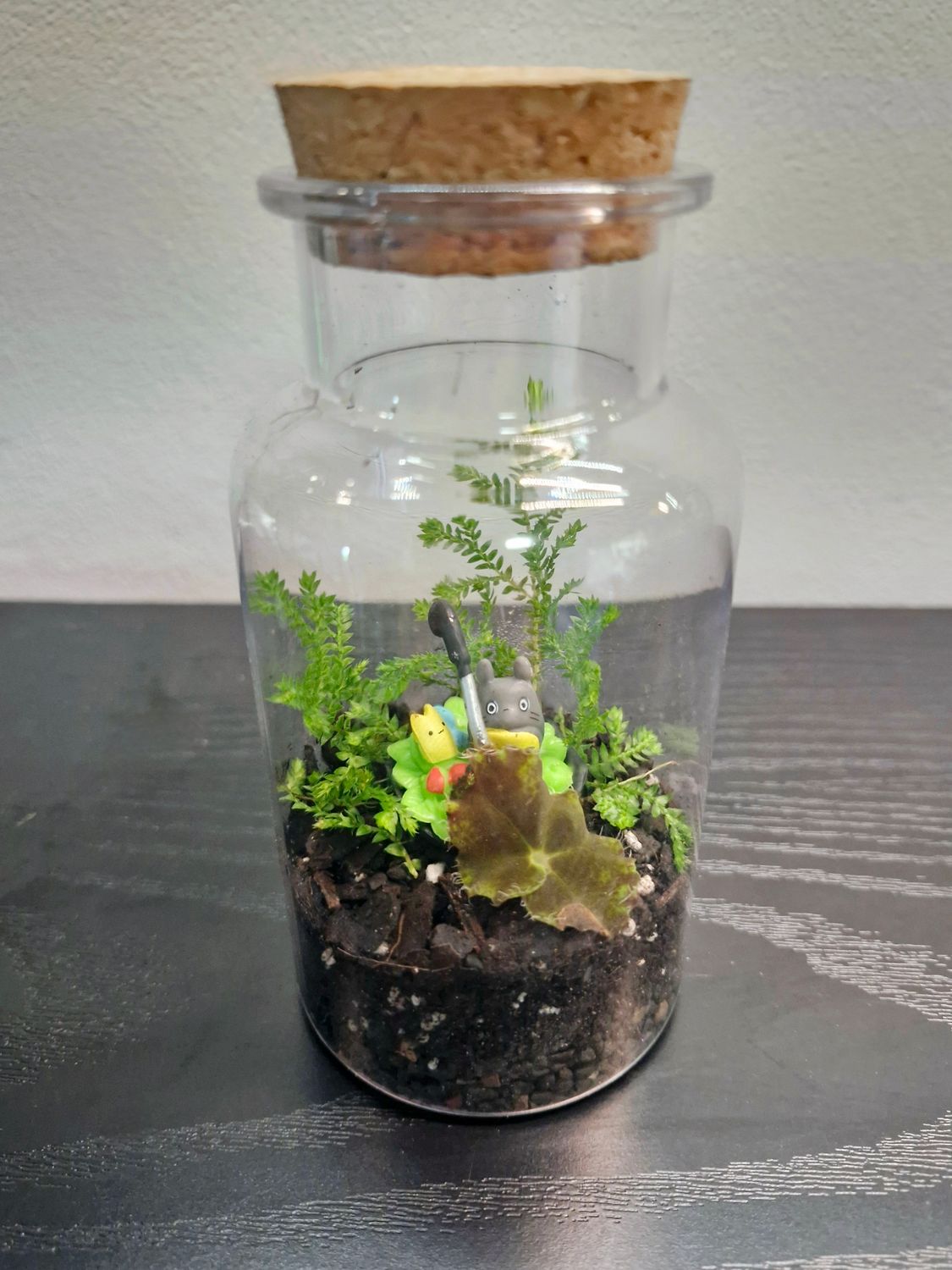 Tropical Terrarium - Mini