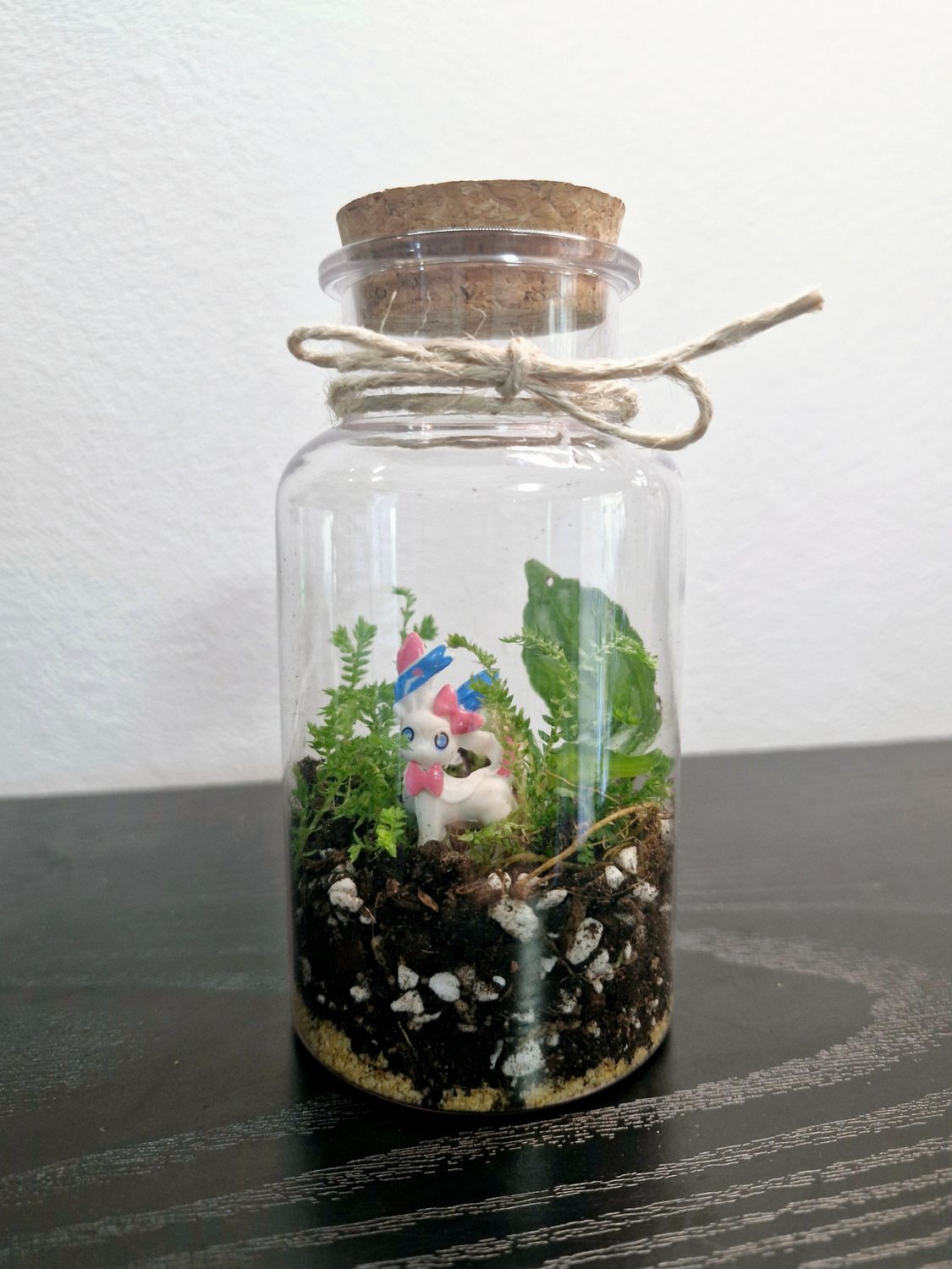 Tropical Terrarium - Mini