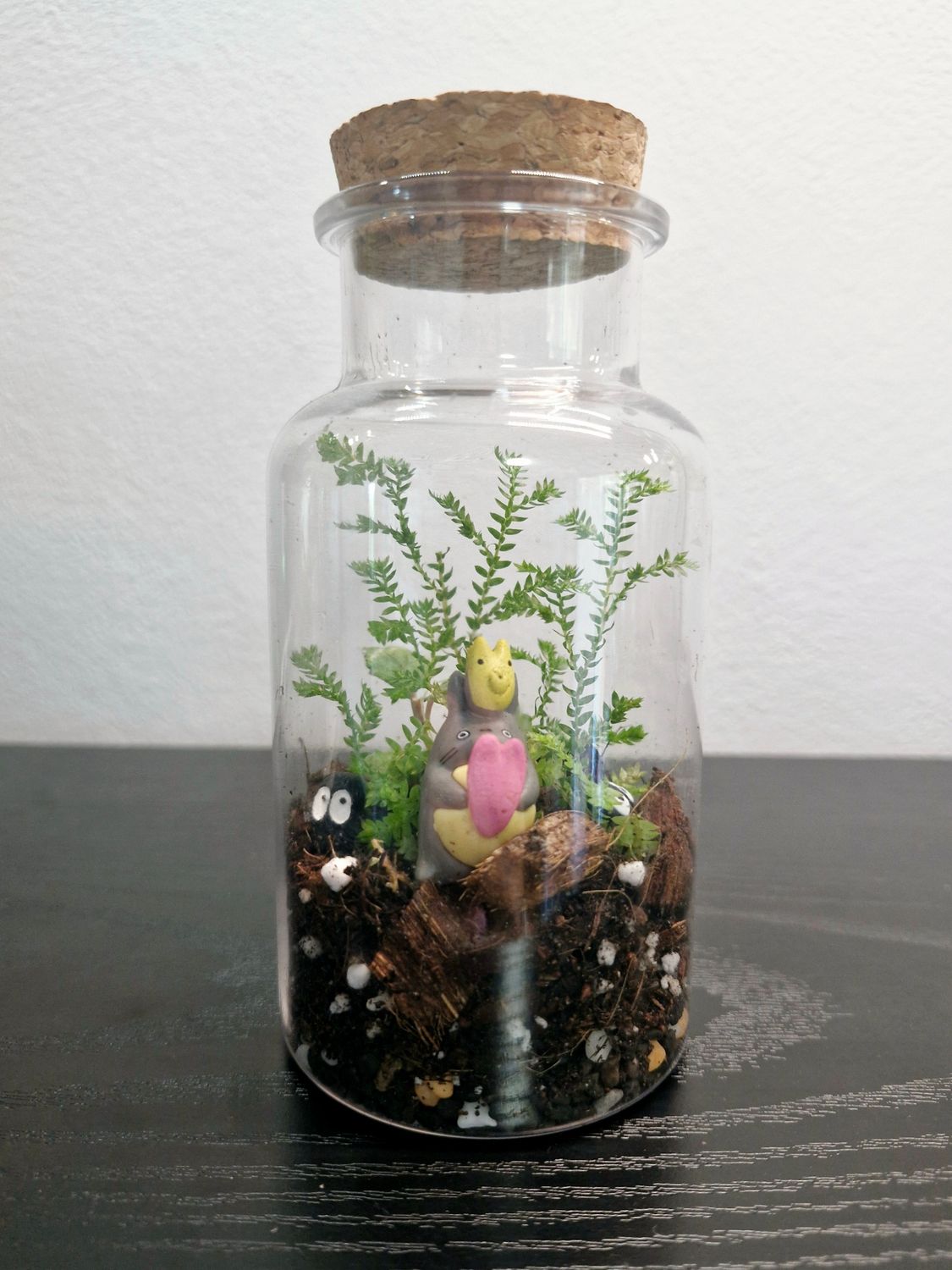 Tropical Terrarium - Mini