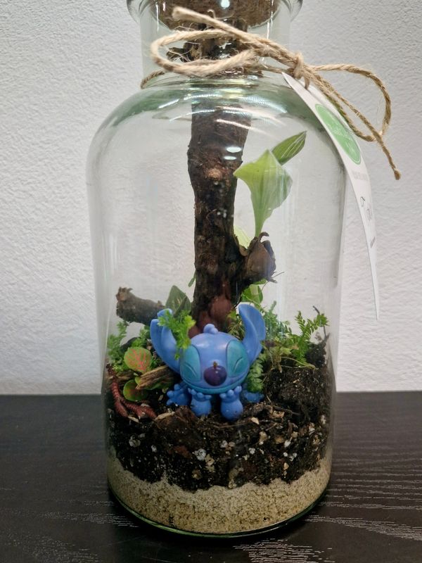Tropical Bioactive Terrarium - Pocket