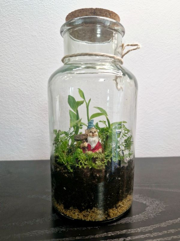 Tropical Terrarium - Petite