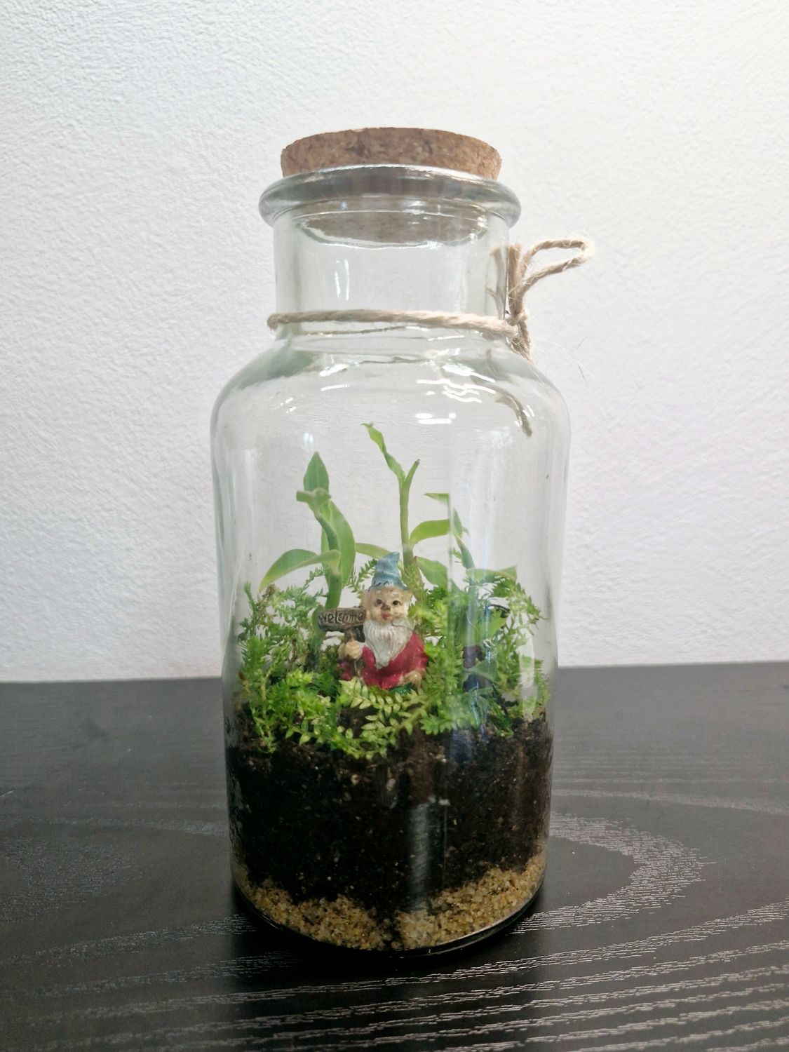 Tropical Terrarium - Petite
