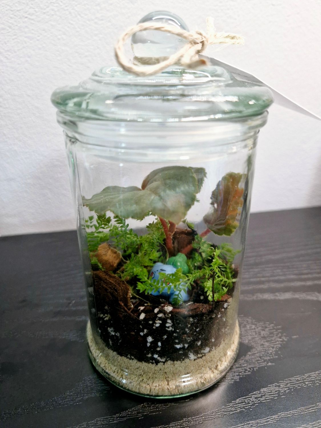 Blossom Terrarium - Petite