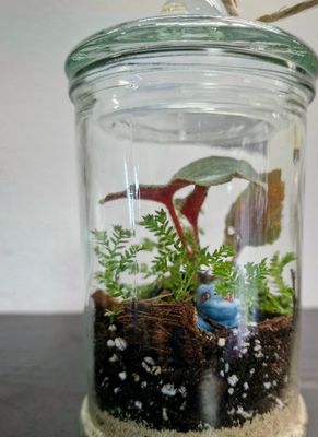 Mini Blossom Bioactive Terrarium Mini Blossom Bioactive Terrarium