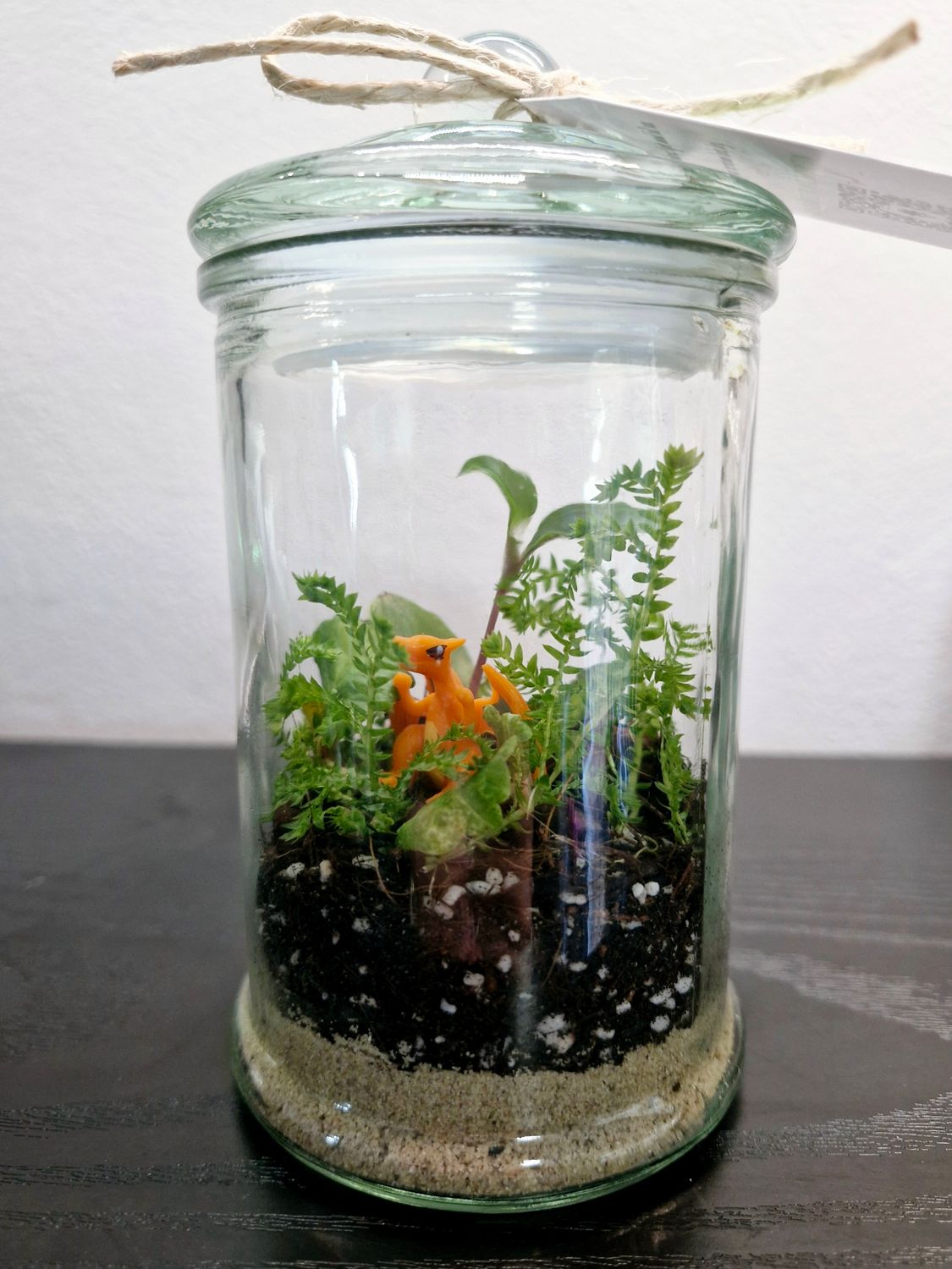 Blossom Terrarium - Petite