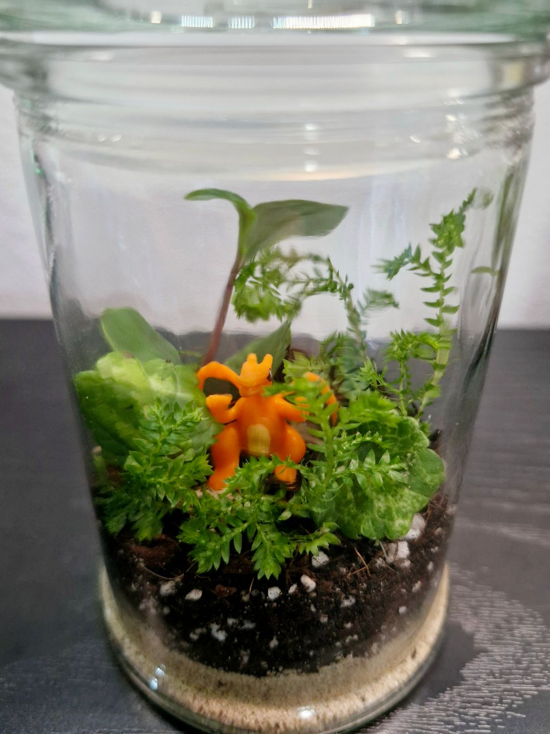 Blossom Terrarium - Petite