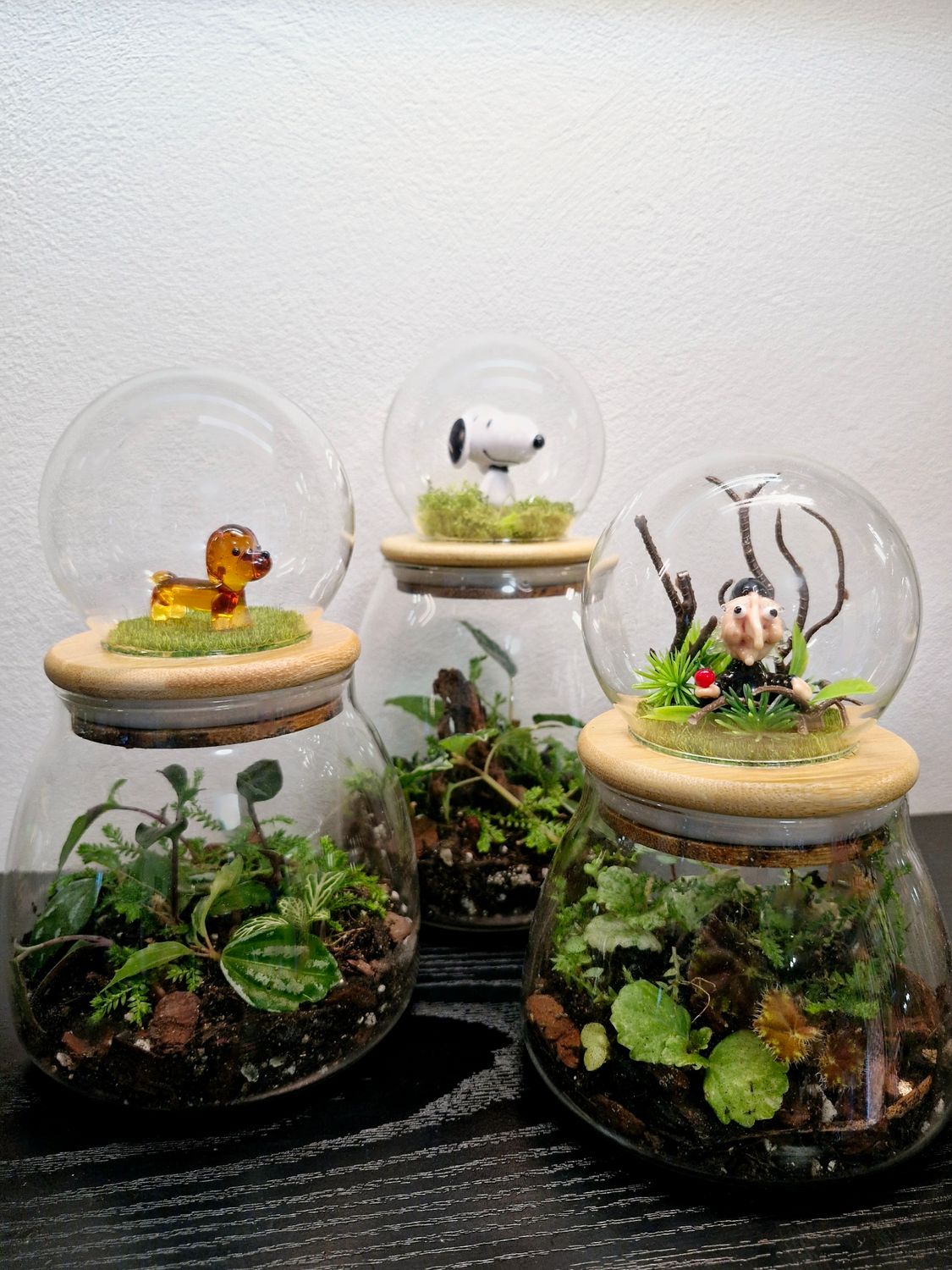 Let it GLOBE Bioactive Terrarium - Pocket