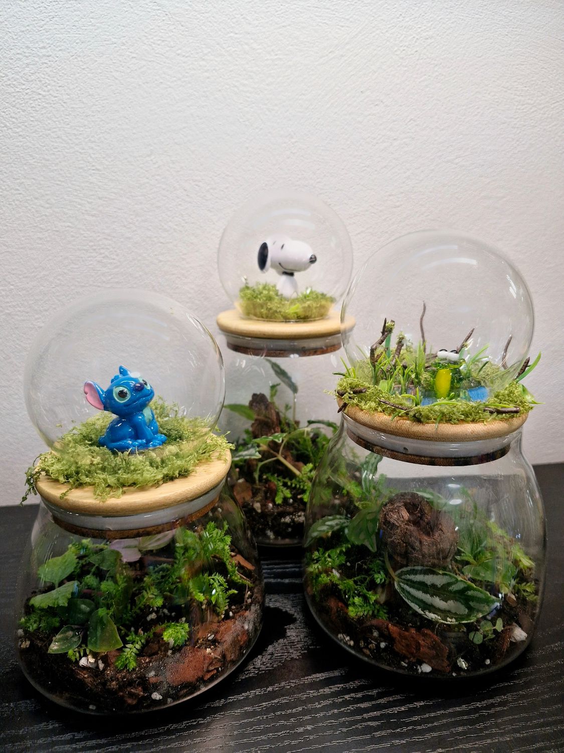 Let it Grow Bioactive Terrarium - Delicate