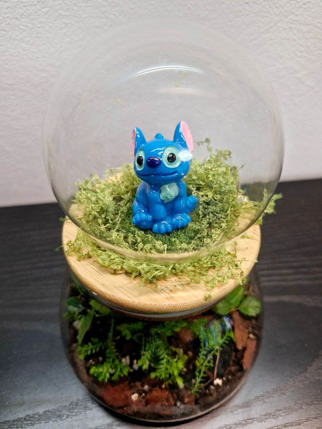 Let it Grow Bioactive Terrarium - Delicate