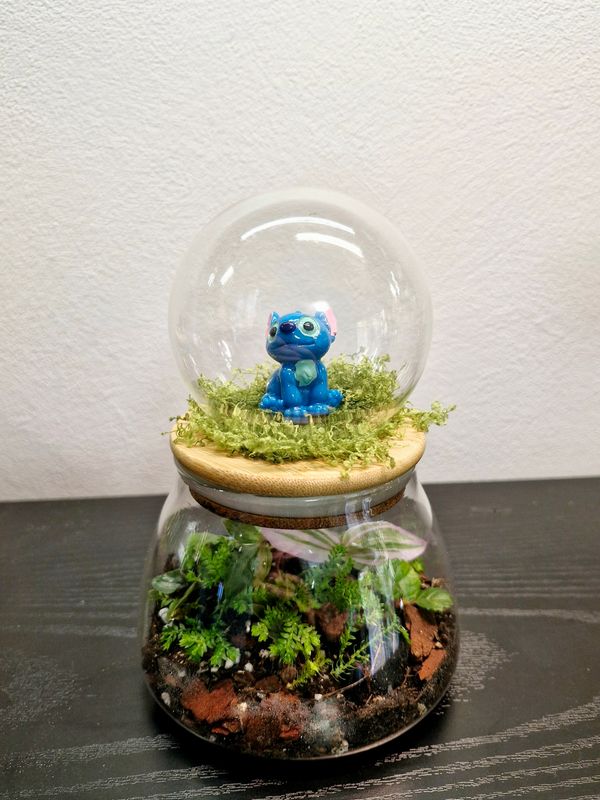 Let it Grow Bioactive Terrarium - Delicate