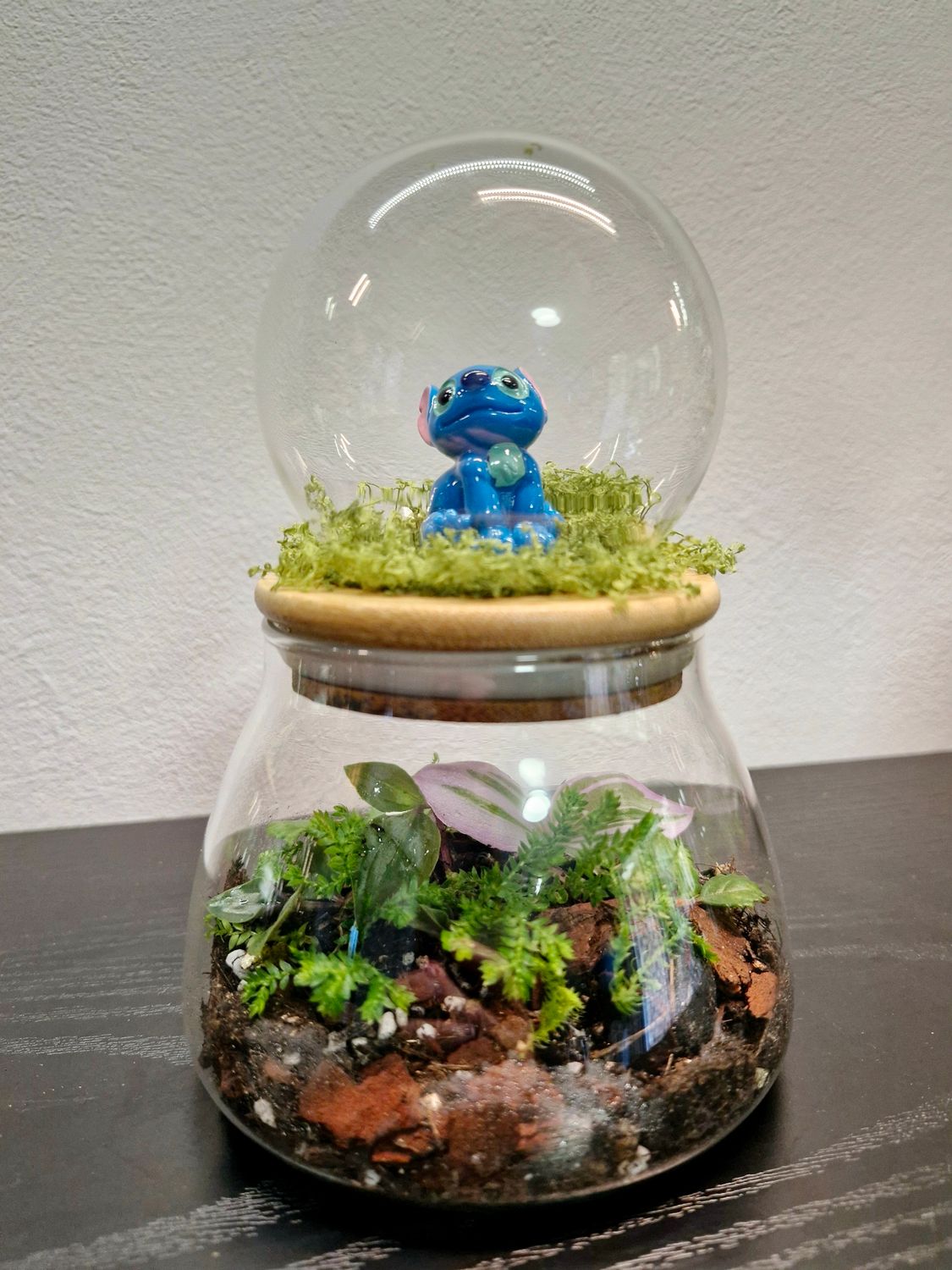 Let it Grow Bioactive Terrarium - Delicate