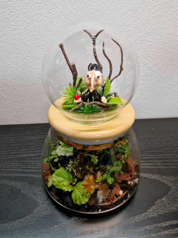 Let it Grow Bioactive Terrarium - Pocket