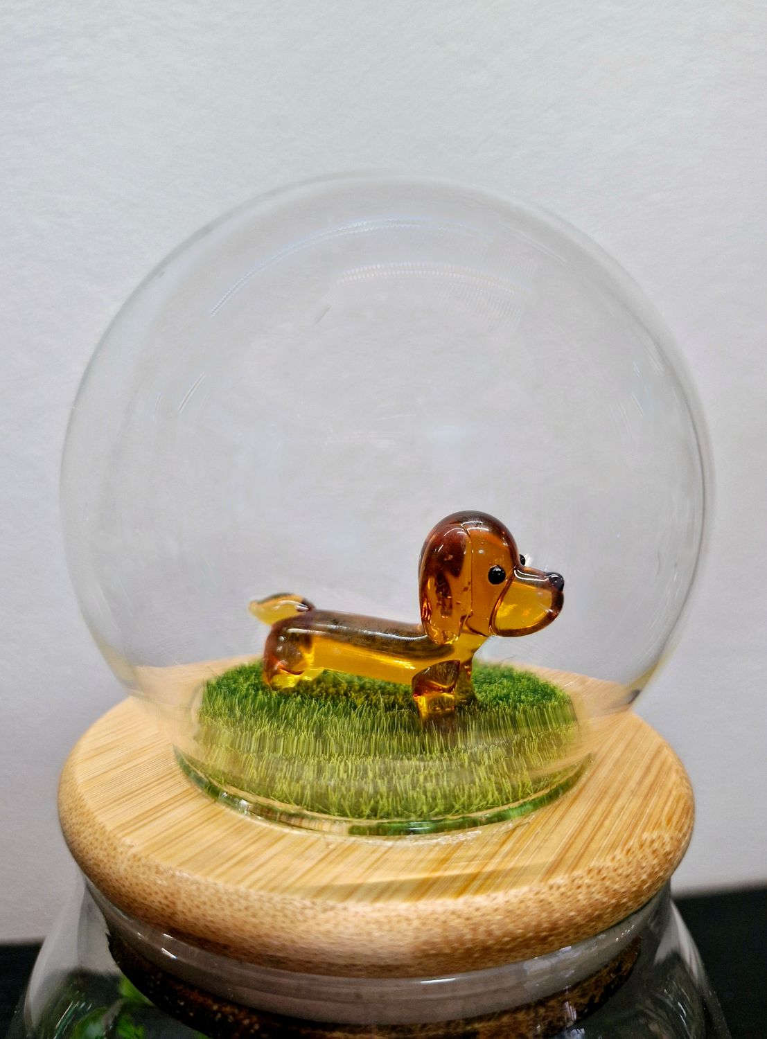 Let it Grow Bioactive Terrarium - Little