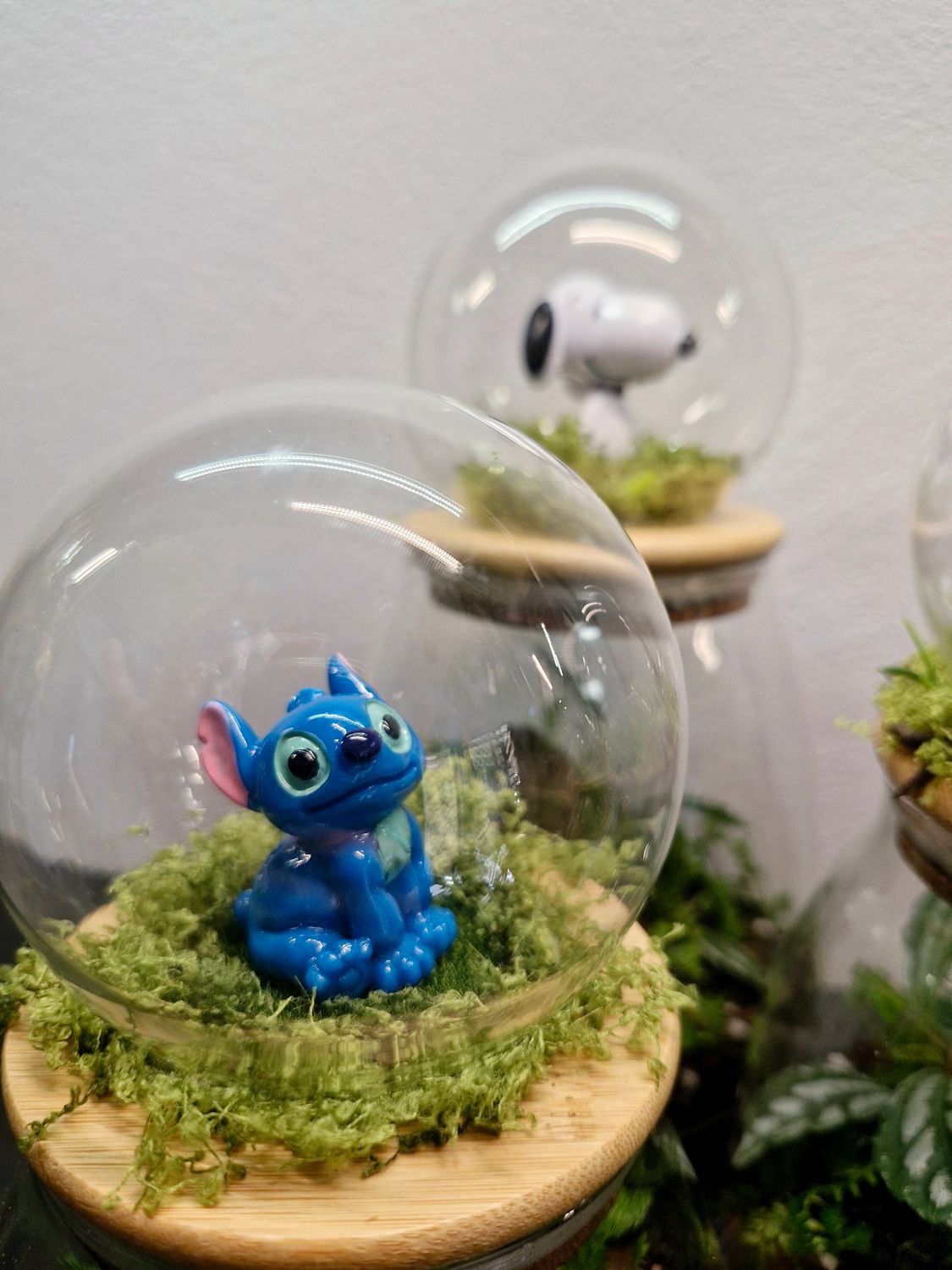 Let it Grow Bioactive Terrarium - Little