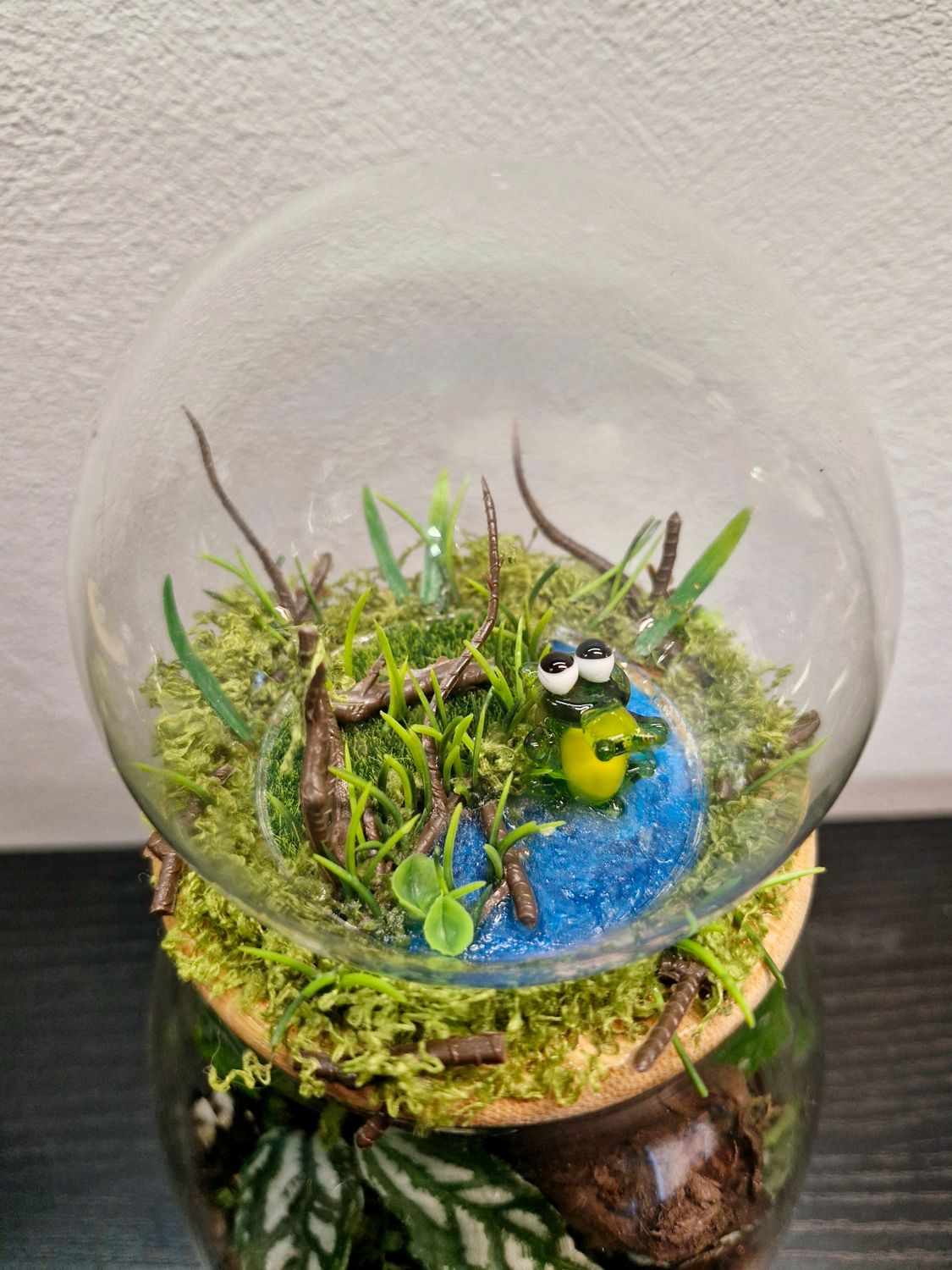 Let it Grow Bioactive Terrarium - Little