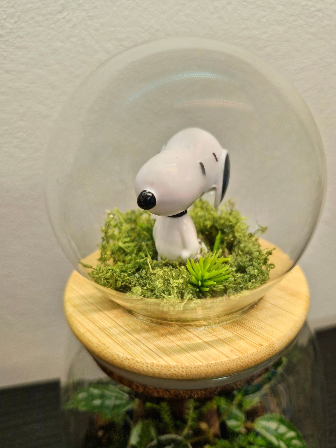 Let it Grow Bioactive Terrarium - Little