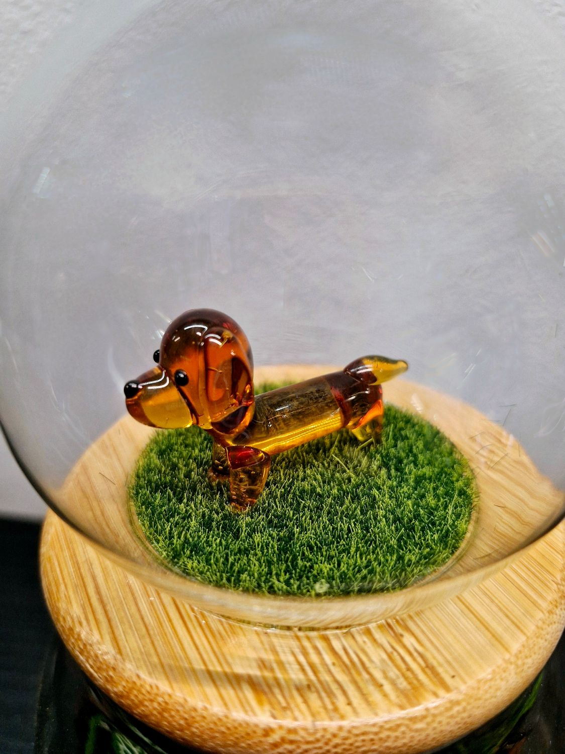 Let it Grow Bioactive Terrarium - Little