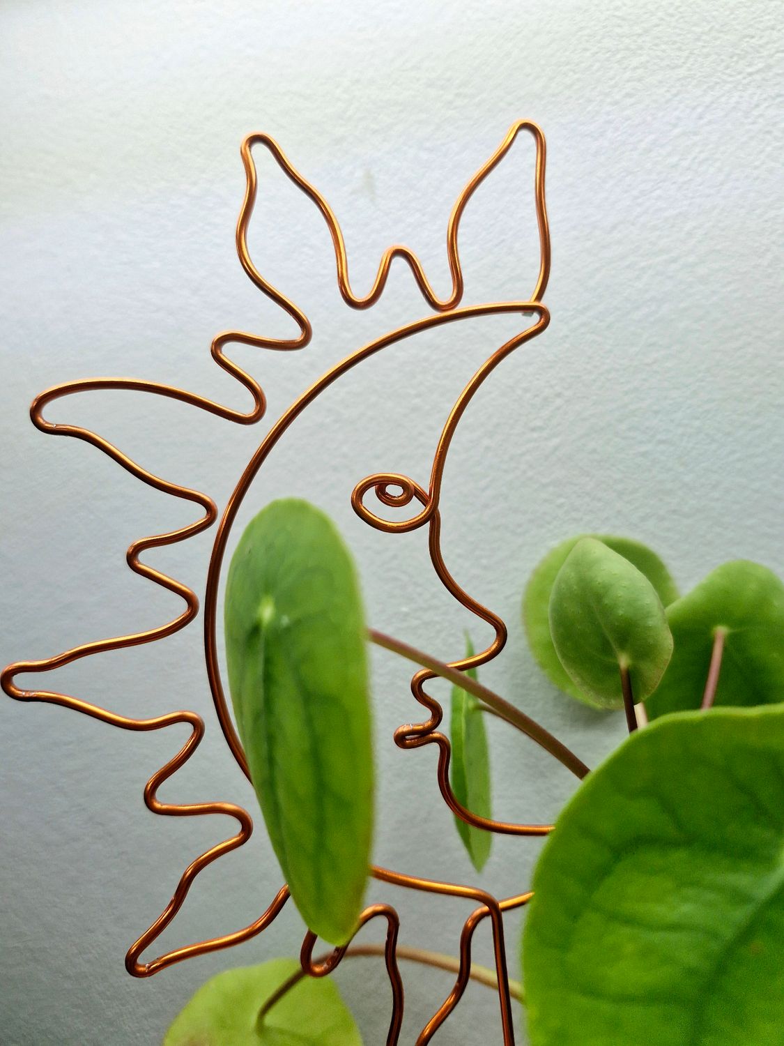 Sun on the Flipside Plant Stake