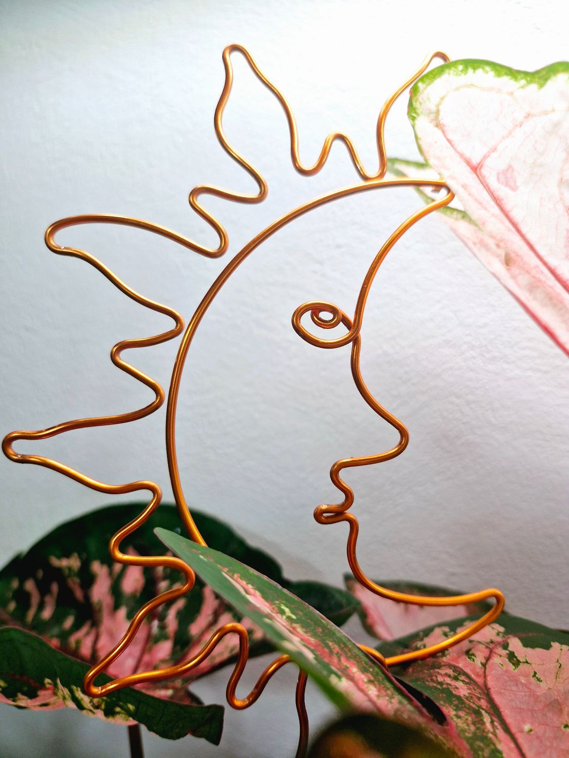Sun on the Flipside Plant Stake