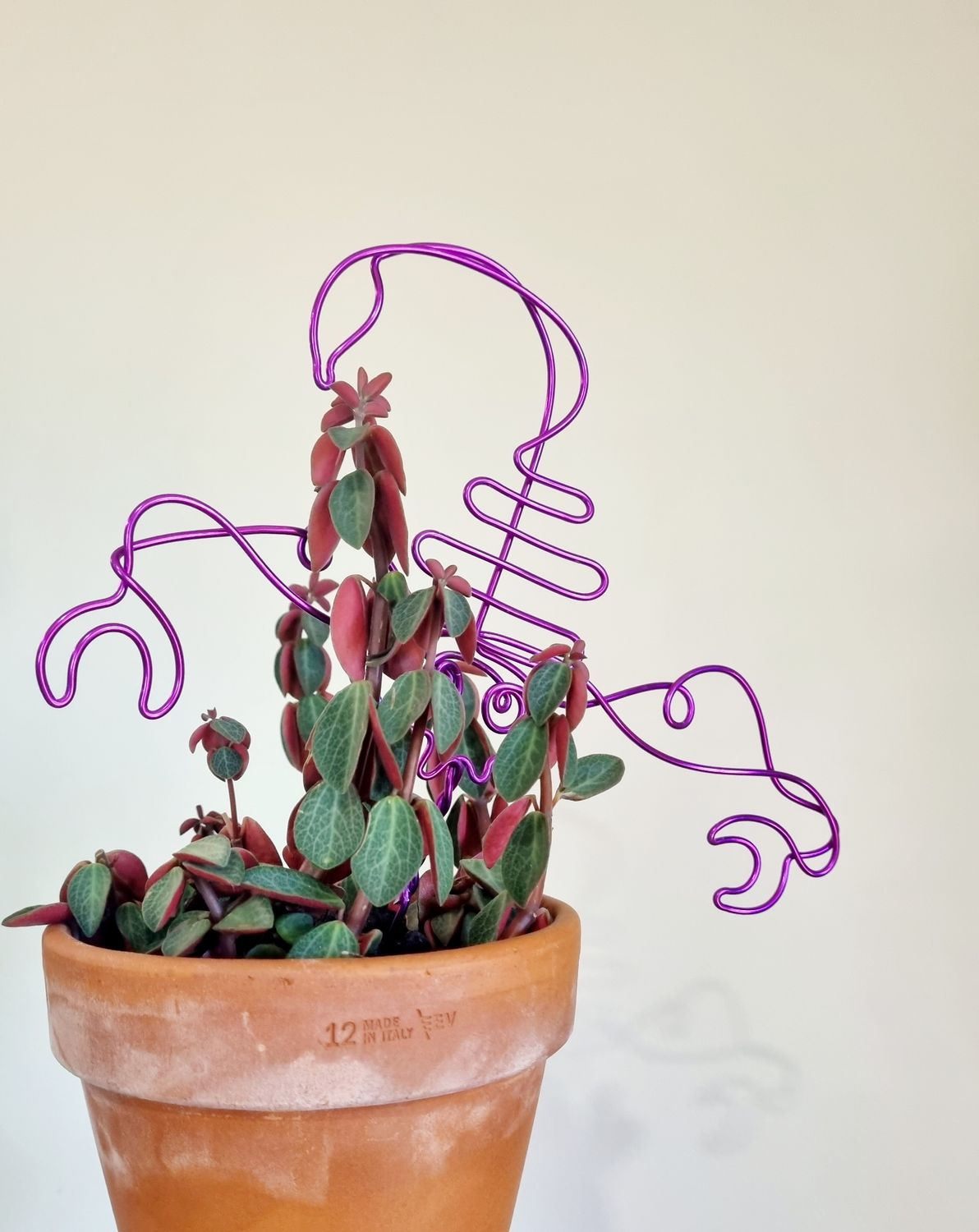 “Sting in Style” – Zodiac Plant Stake