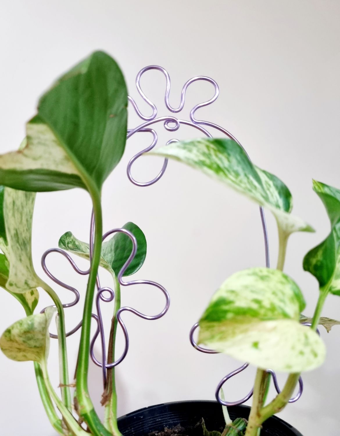 ✌️ That’s Groovy Trellis – Handmade Wire Plant Trellis