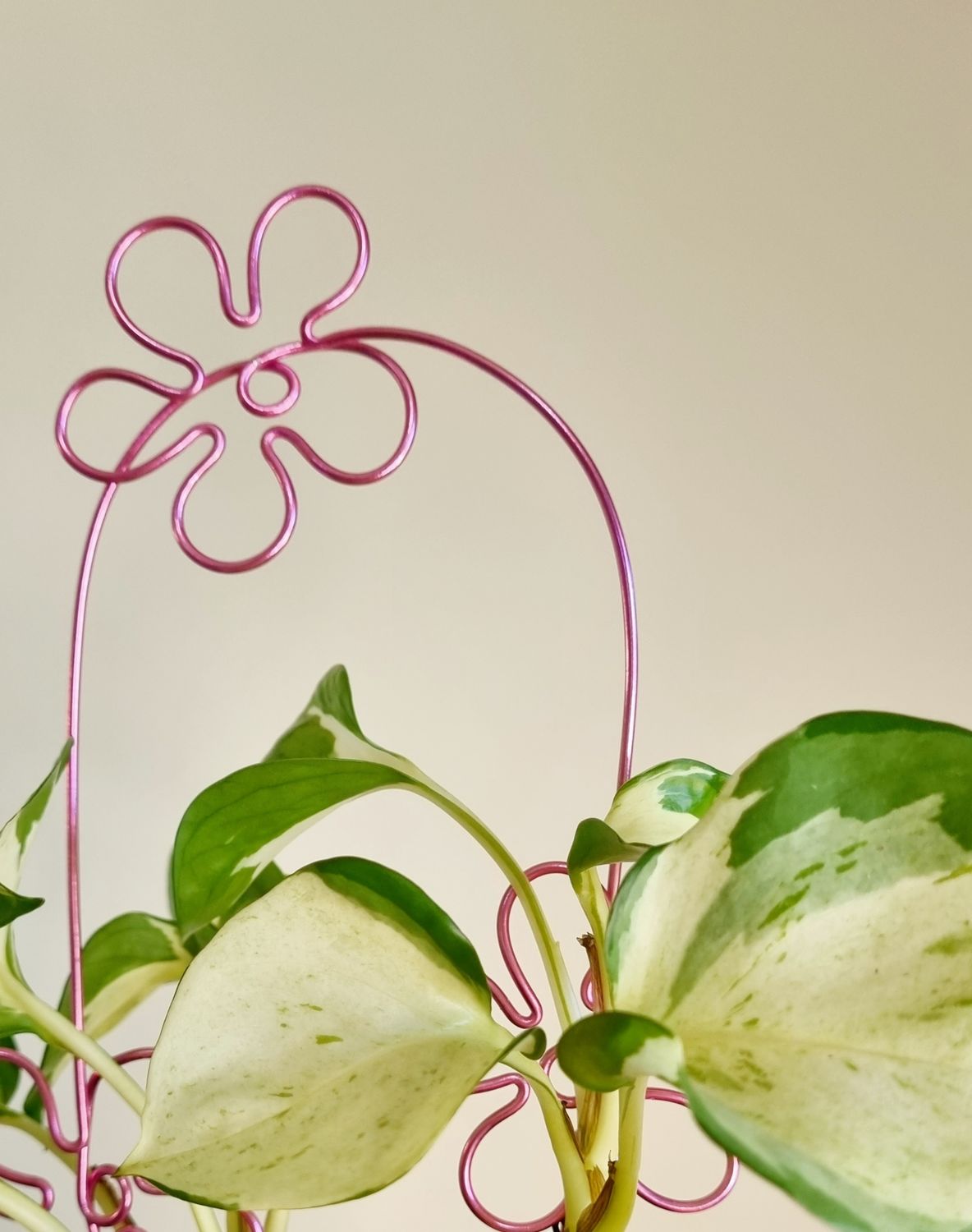 ✌️ That’s Groovy Trellis – Handmade Wire Plant Trellis
