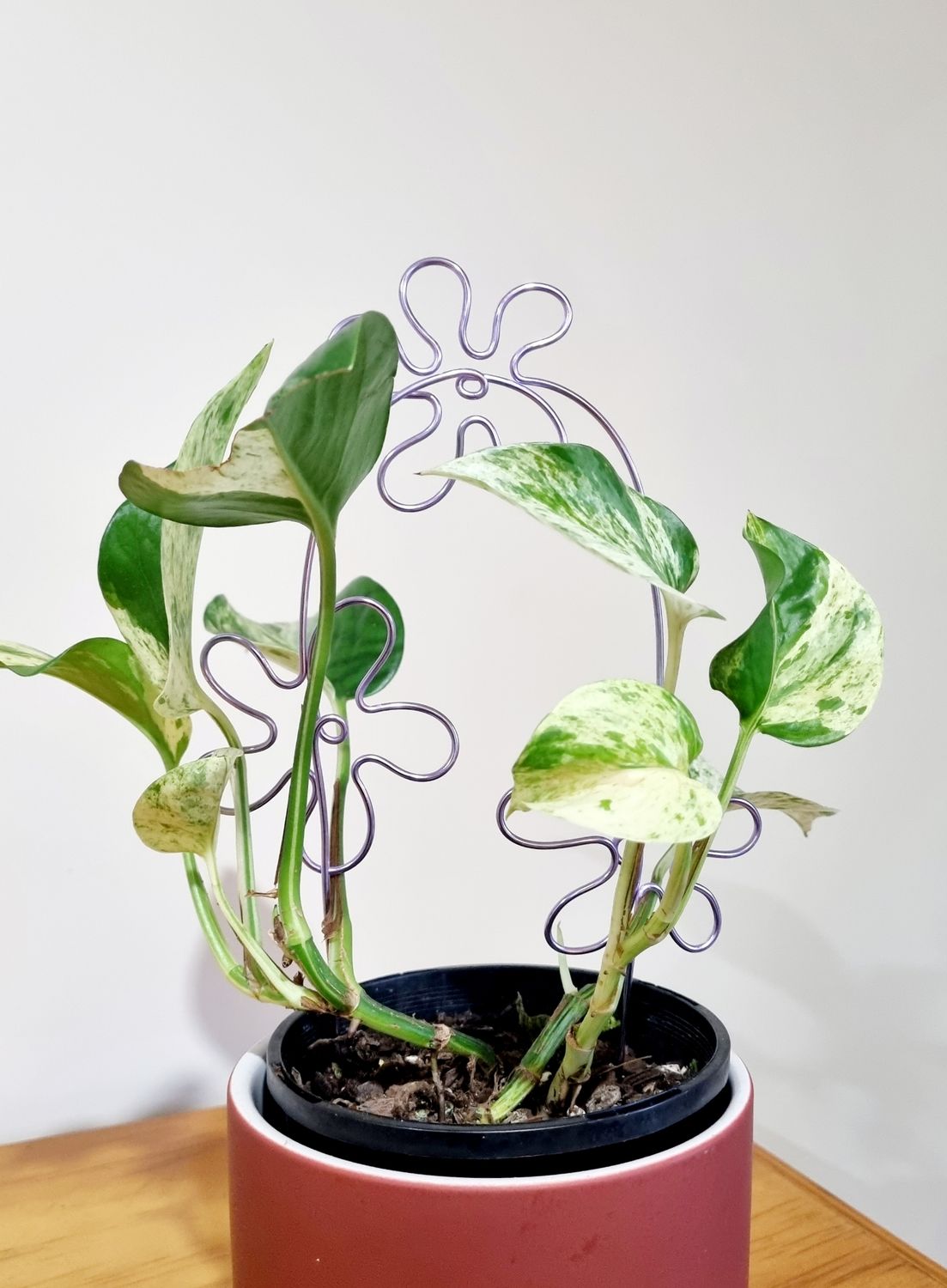 ✌️ That’s Groovy Trellis – Handmade Wire Plant Trellis