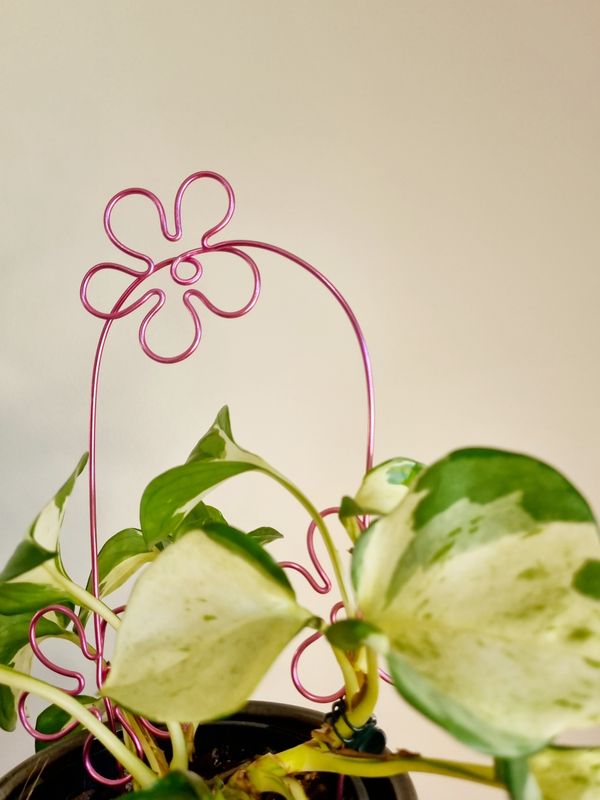 ✌️ That’s Groovy Trellis – Handmade Wire Plant Trellis