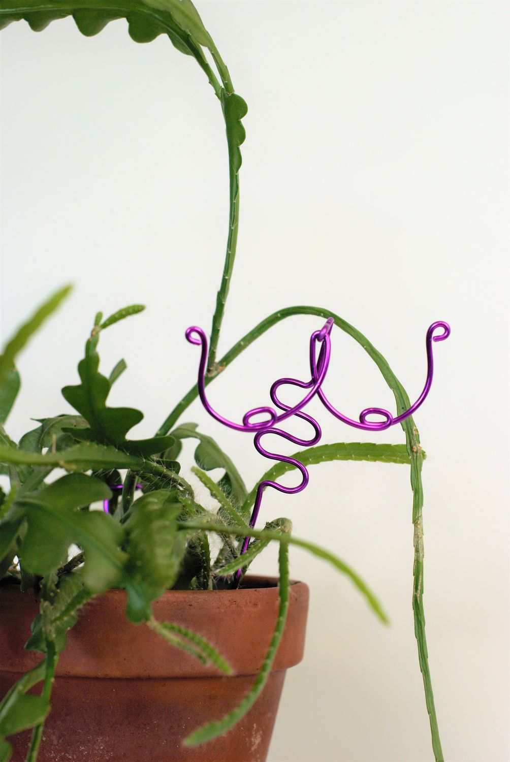 Chestnut Sprouts - Bouncing Plant Stake