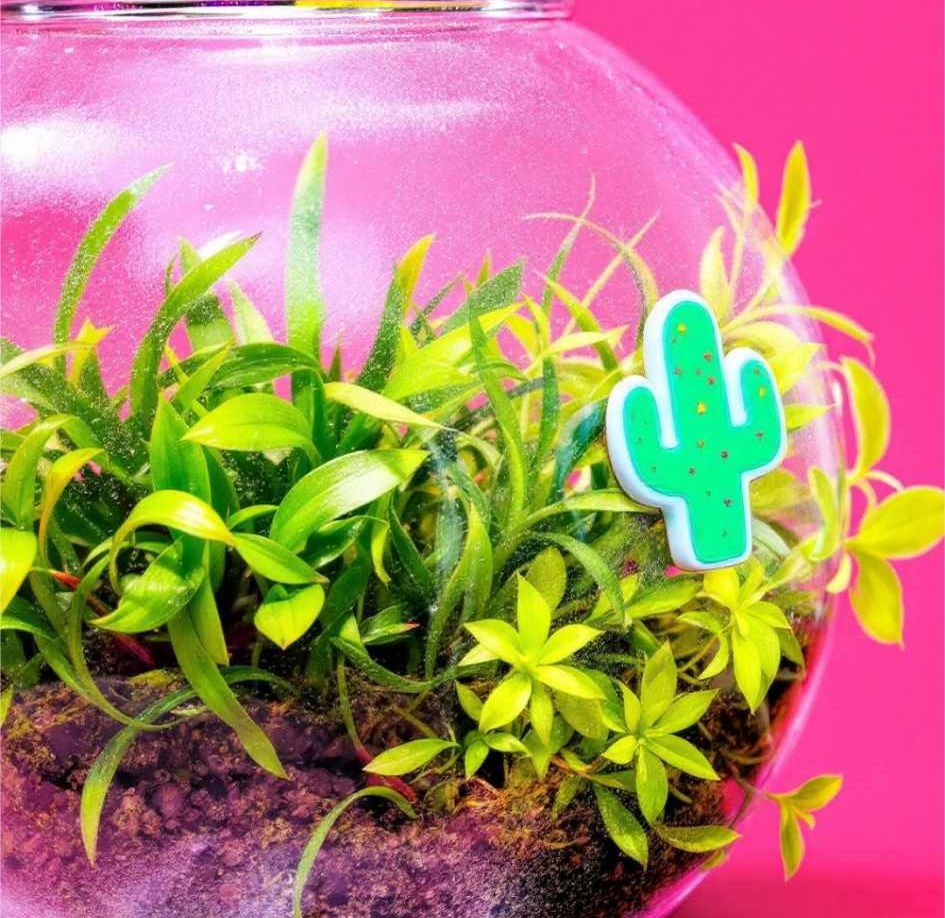 The Glass Guardian – Magnetic Terrarium Cleaner