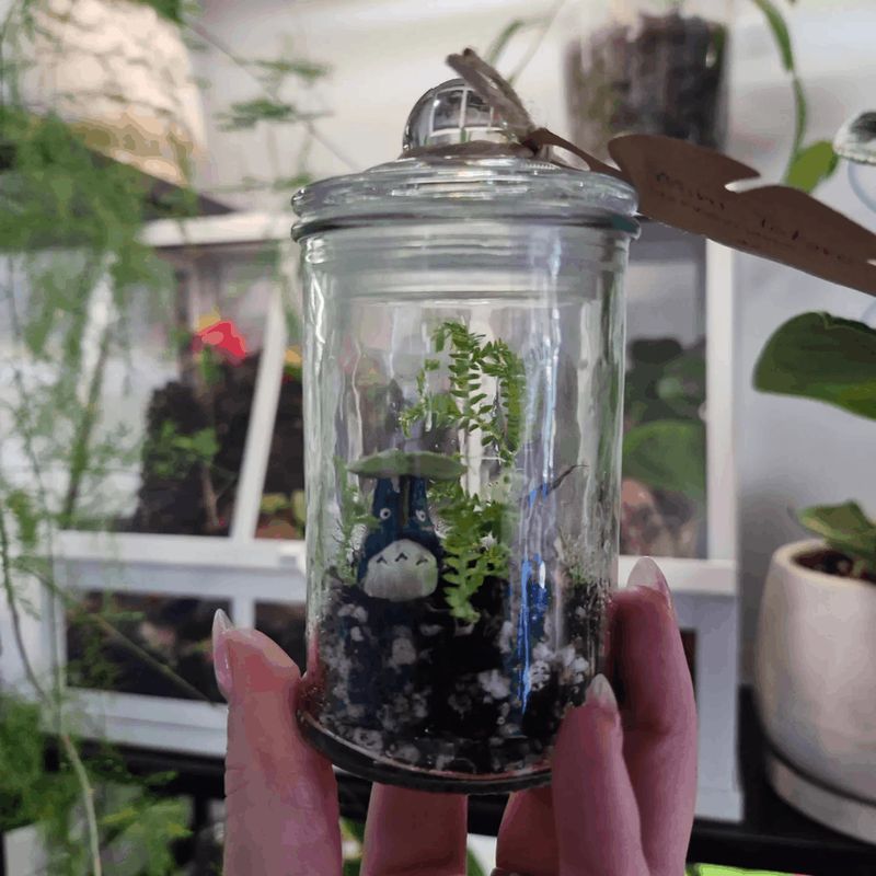 Mini terrarium