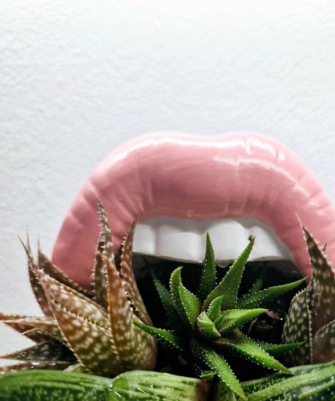 In ya mouth
