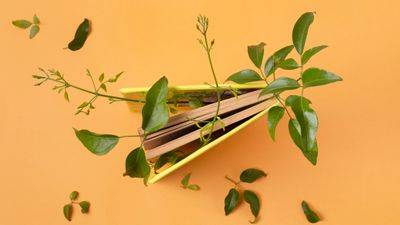 Leaf n Learn