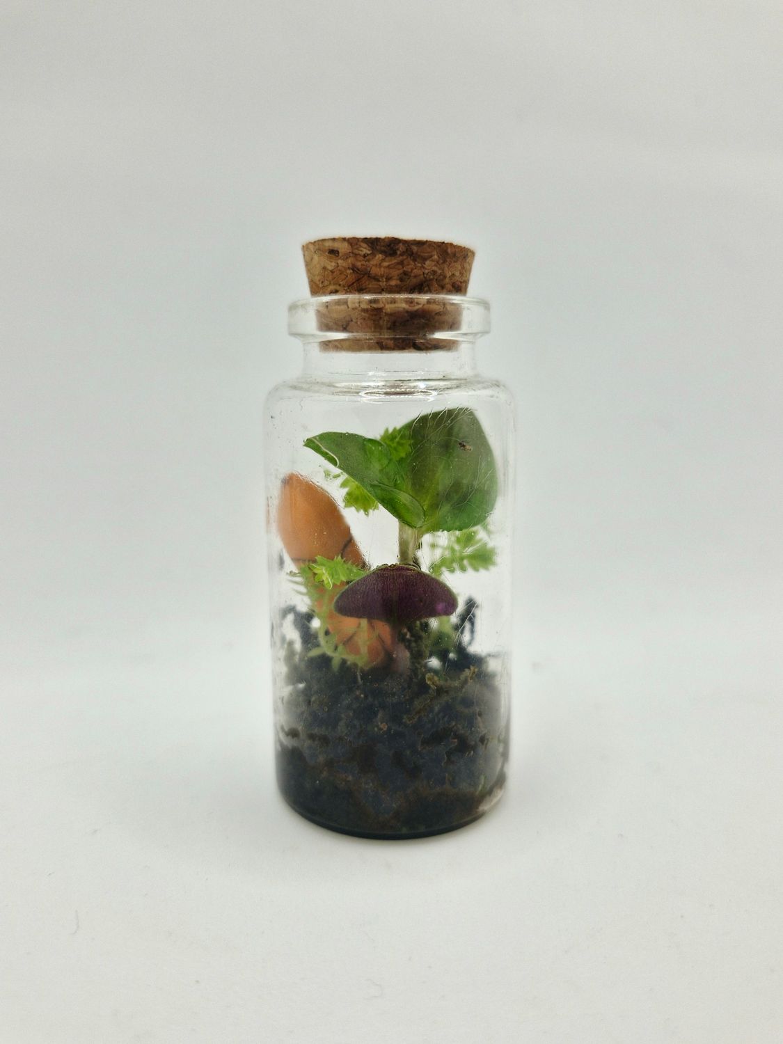 Sprout Terrarium