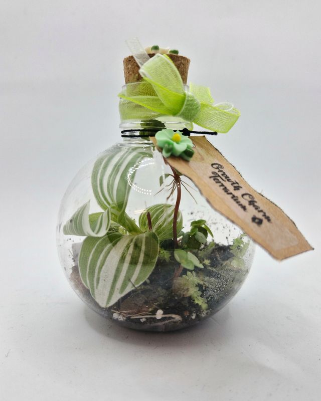 Enchanted Potions Collection