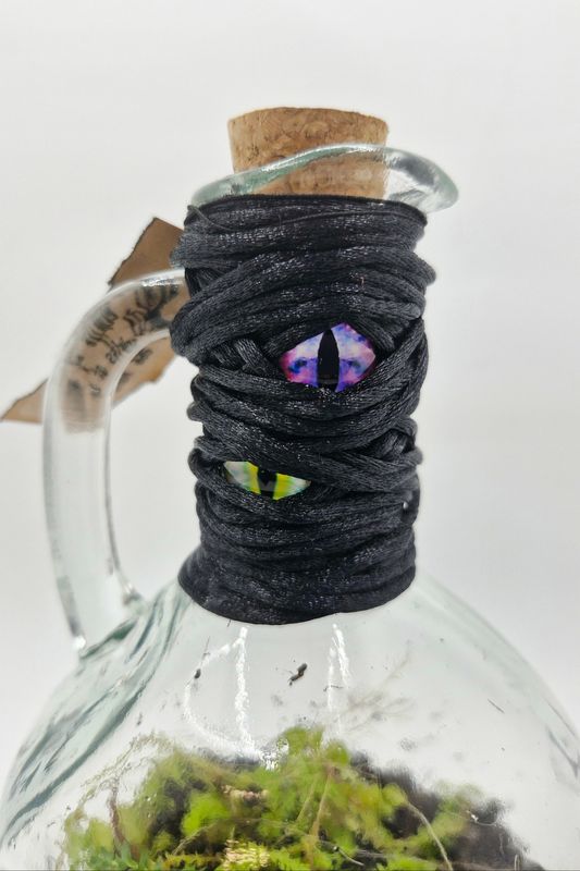 Spellbound Bioactive Terrarium