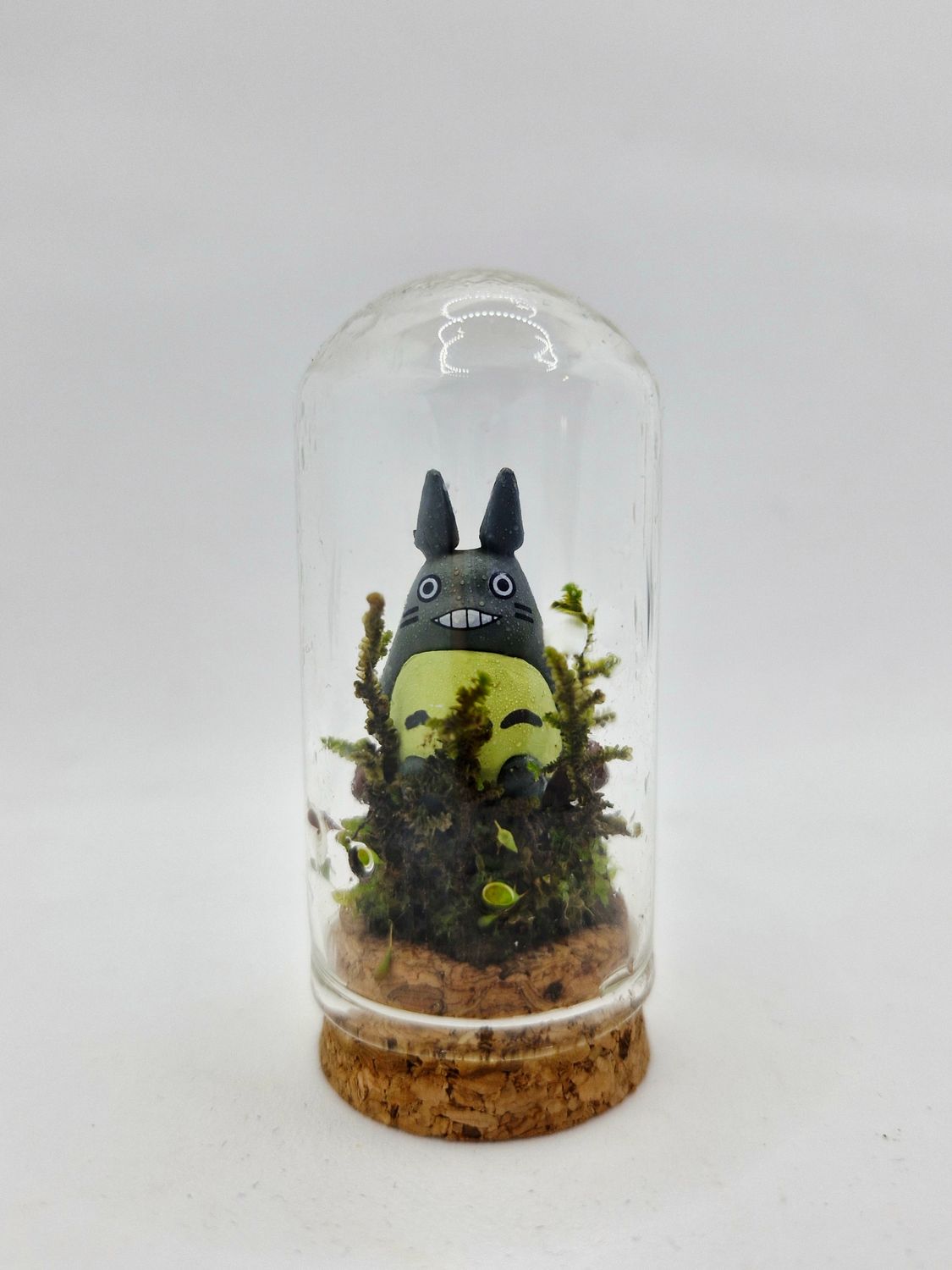 Pocket Lotus Terrarium