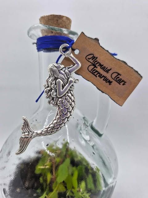 Mini Enchanted Potion Terrarium