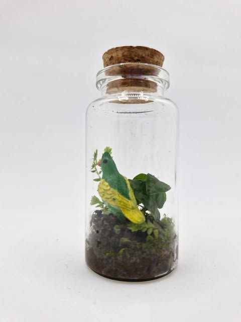 Sprout Elixir Terrarium
