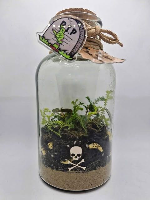Petite Tropical Bioactive Terrarium