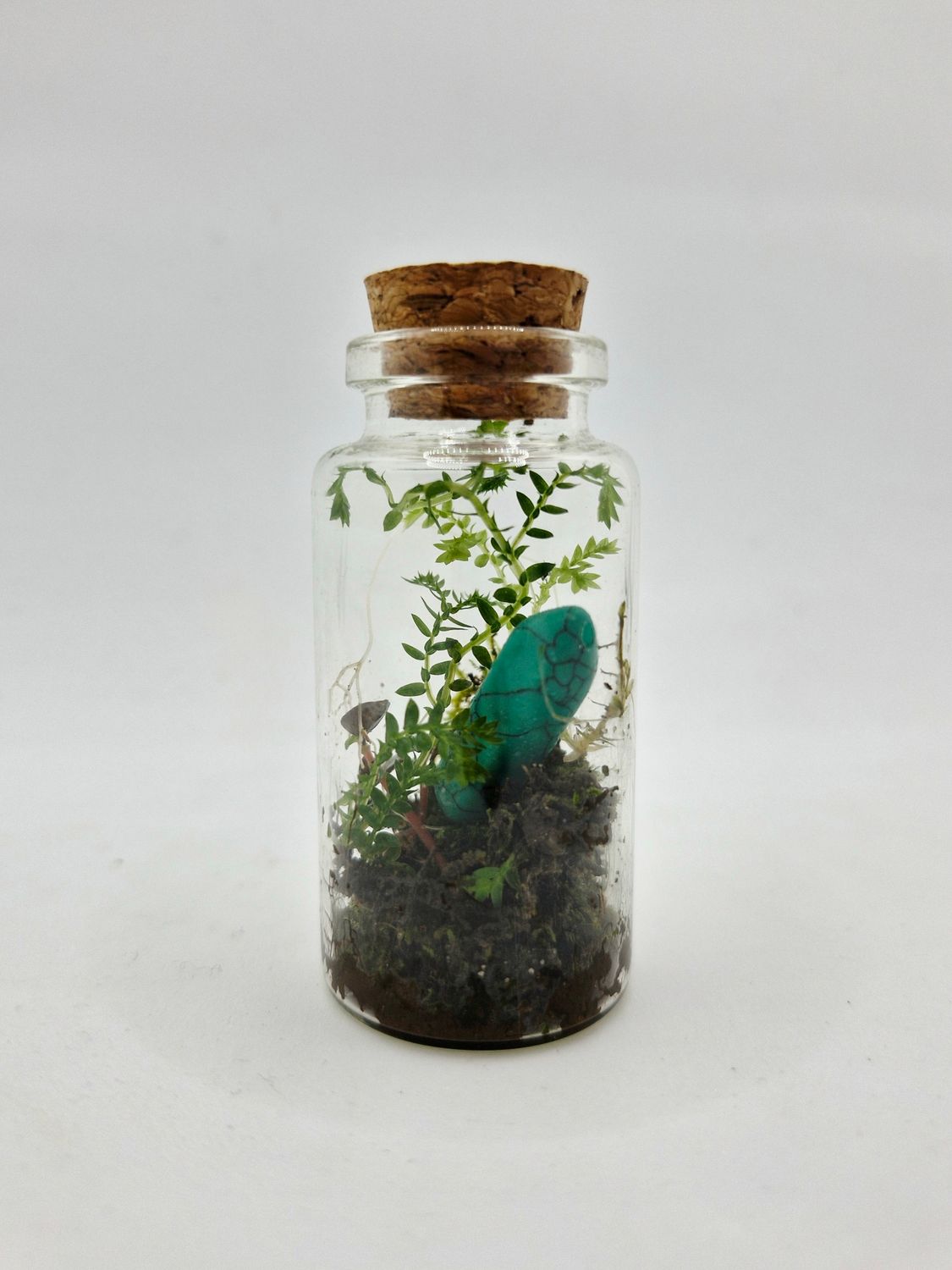 Sprout Elixir Terrarium