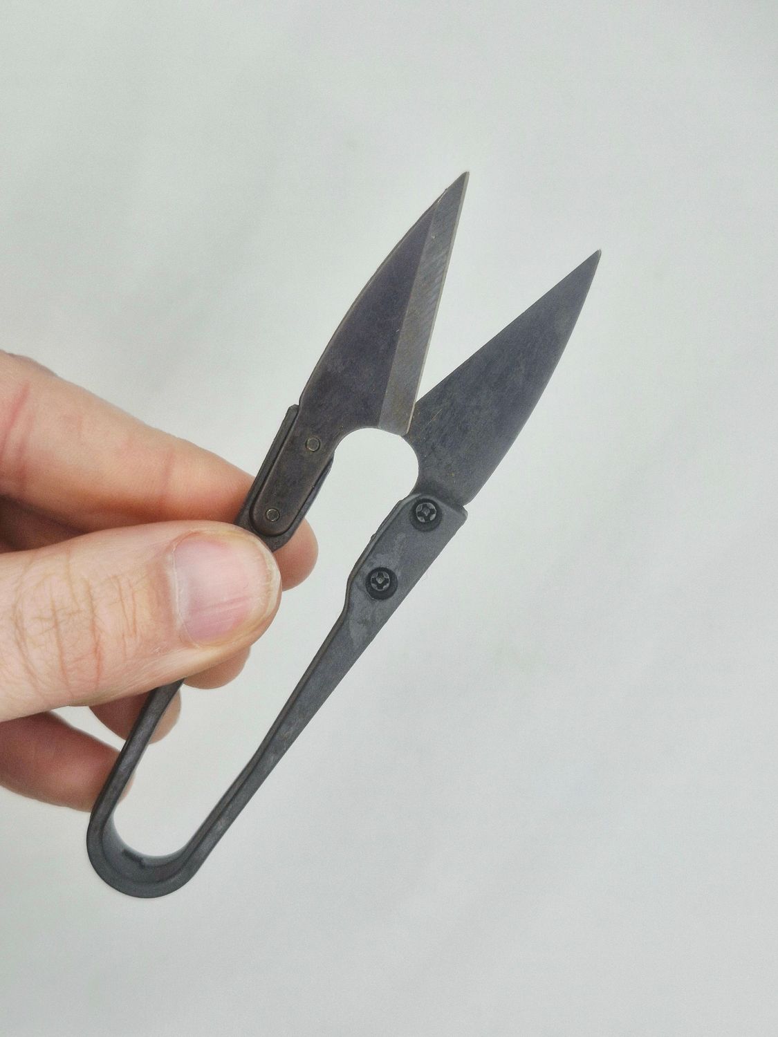 Black snippers