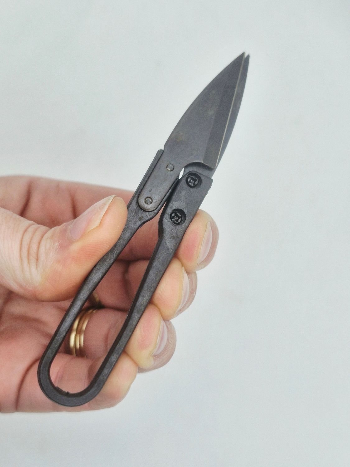 Black snippers